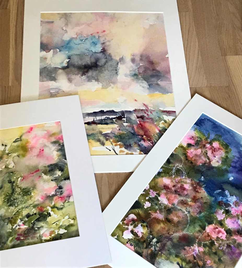 Blommotiv finns - sommar vid Haväng, roshetta och kväll i trädgården, hör av dig så skickar jag en serie blommotiv